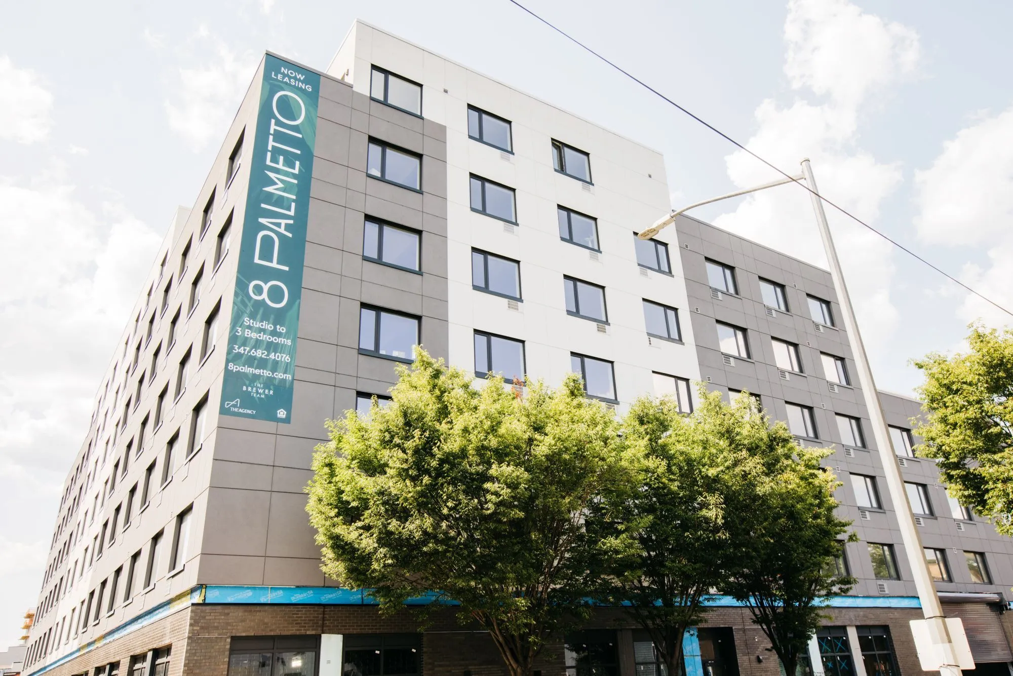 8 Palmetto Street