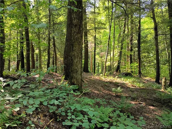 Tomahawk Trl Lot 231, Forestport, NY 13338