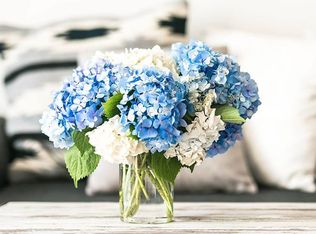 2104 Canal St APT 421, Houston, TX 77003