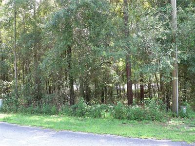 5350 E Walter Ln, Inverness, FL, 34452