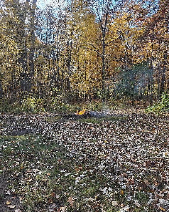 10999 Angola Rd, Swanton, OH 43558 Zillow