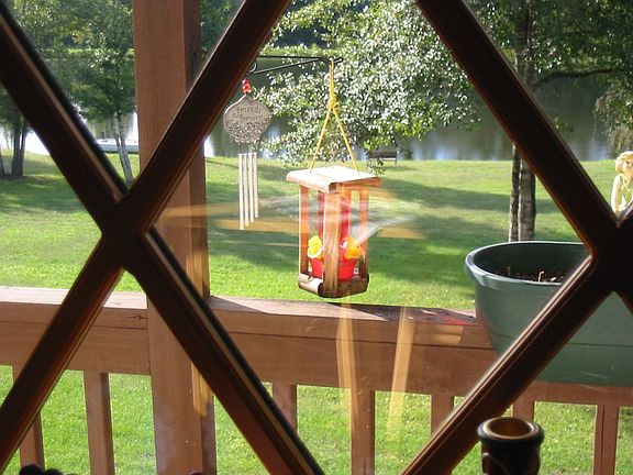 View from the Kitchen