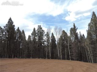 96 Kenosha Cir, Florissant, CO 80816