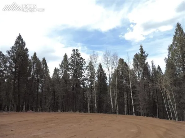 96 Kenosha Cir, Florissant, CO 80816