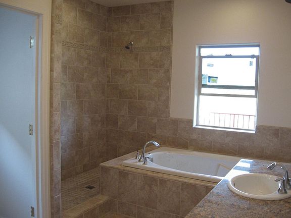 master shower and tub