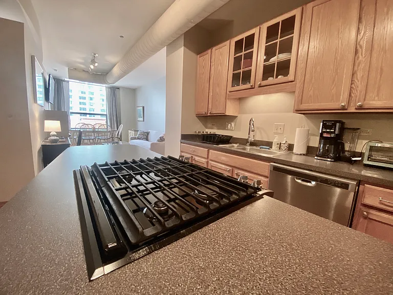 910 S Michigan Ave #1308 — Photo 7