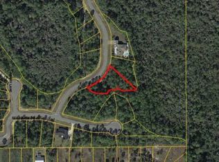 102 N Caicos Dr, Port Saint Joe, FL 32456