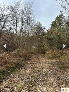 10.73 Smith Grove Rd, Burkesville, KY, 42717