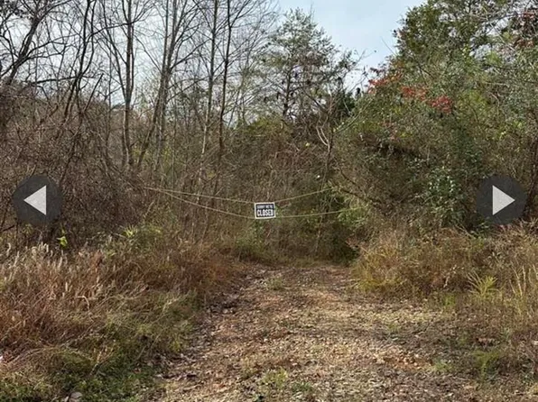 10.73 Smith Grove Rd, Burkesville, KY 42717