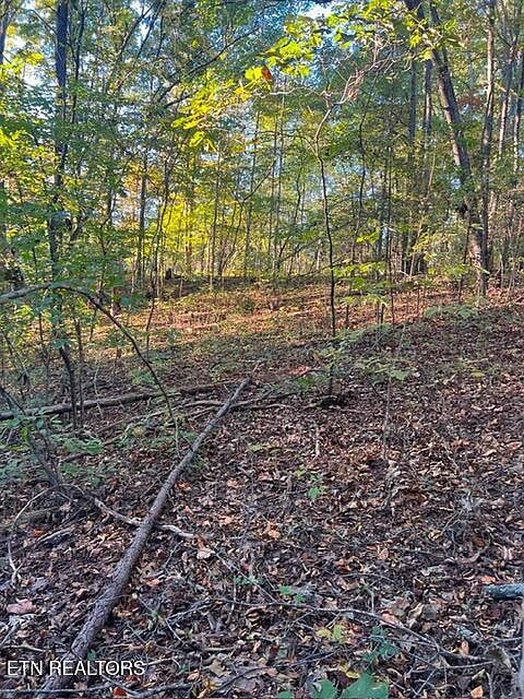 1st image of 196 Woodstock Dr Lot 176