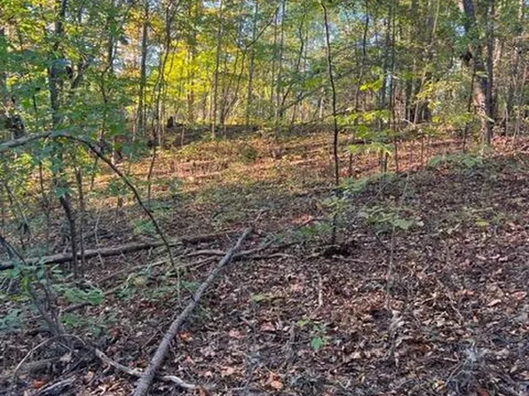 196 Woodstock Dr Lot 176, Rutledge, TN 37861
