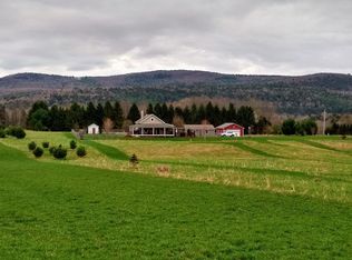 115 Pleasant Meadows Rd, Cooperstown, NY 13326