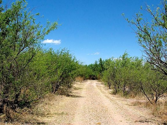 Road into property