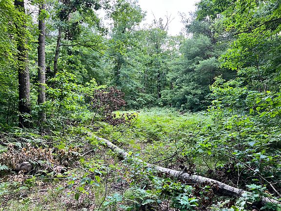 4th image of V/l S Woodland Dr