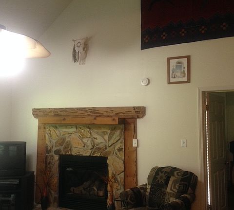 Living room fireplace