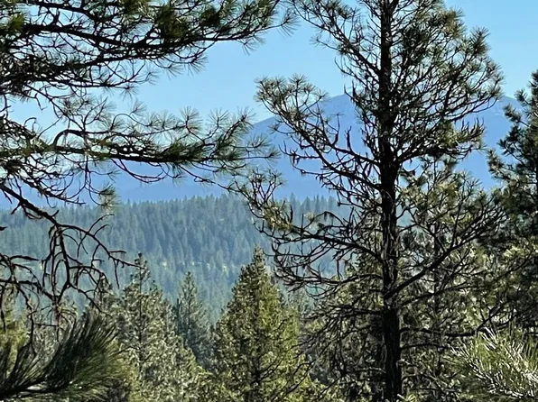 45 Pine West Dr, New Meadows, ID 83654