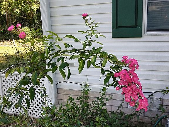 4th image of 1868 NW 46th Cir