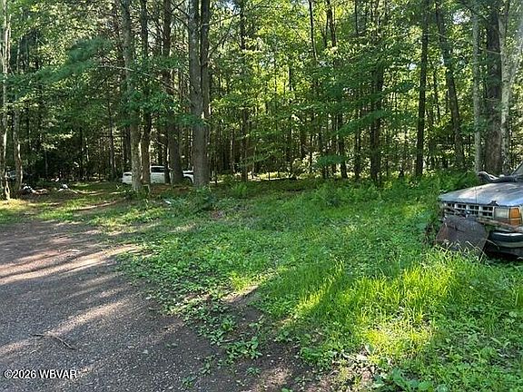 3rd image of 206 Cripple Hollow Ln