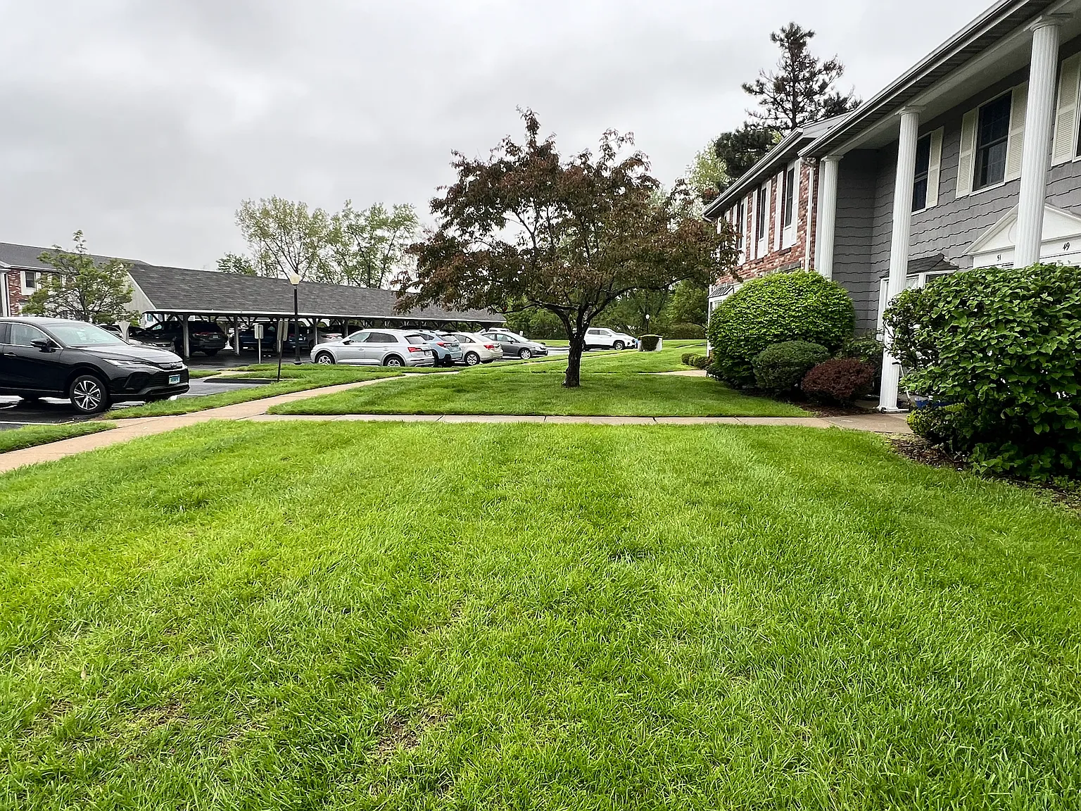 3 bed, 1408 sqft, $2,800 — Photo 2
