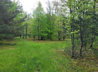 0 Thayer Rd, Erin, NY 14838