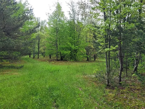 0 Thayer Rd, Erin, NY 14838