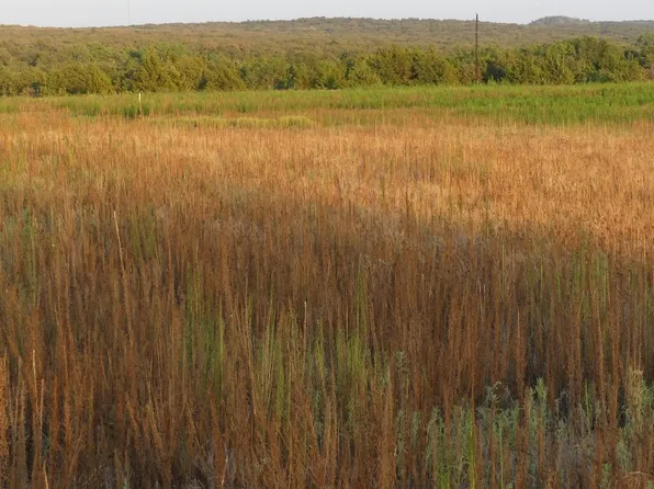 251 Pondview Ln, Nocona, TX 76255