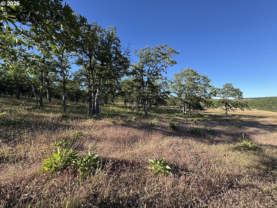 1st image of Piney Woods