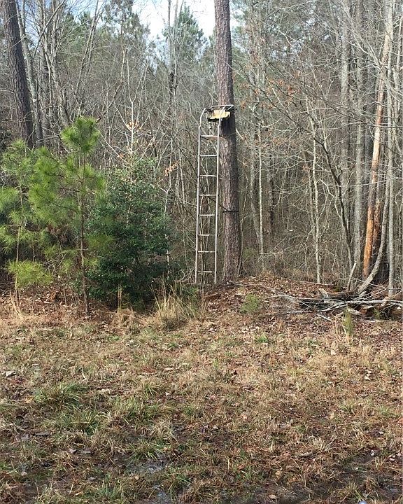 1st image of 4101 Charles City Rd