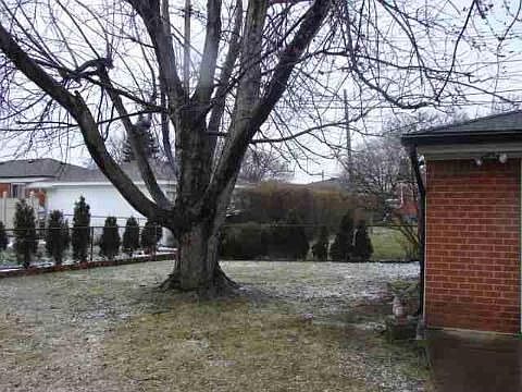 4th image of 32319 Gloede Dr