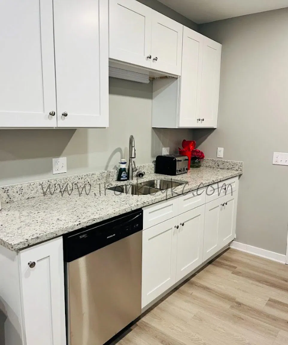 1 bed, $1,000 — Photo 4