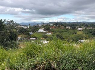 Carr 152 Km 7.6 Interior Bo Quebradillas Sec Faral, Barranquitas, PR 00794