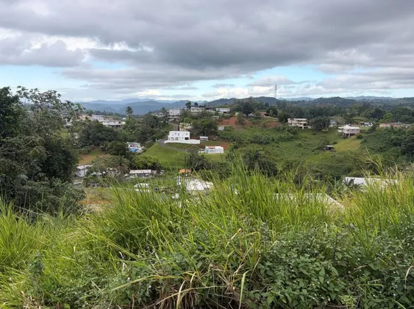 Carr 152 Km 7.6 Interior Bo Quebradillas Sec Faral, Barranquitas, PR 00794