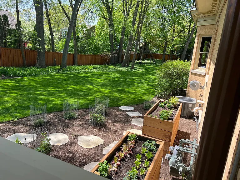 Vegetable Garden looking south at perimeter Cedar Fence which surrounds the property from the Porch to the alley with a cantilevered gate and another hand gate for pedestrian use