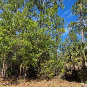 47th Ave NE, Naples, FL, 34120