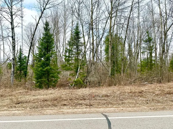 1.5 Acre Hwy #52, White Lake, WI 54491
