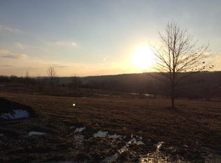 8667 Carney Hollow Rd, Springwater, NY 14560