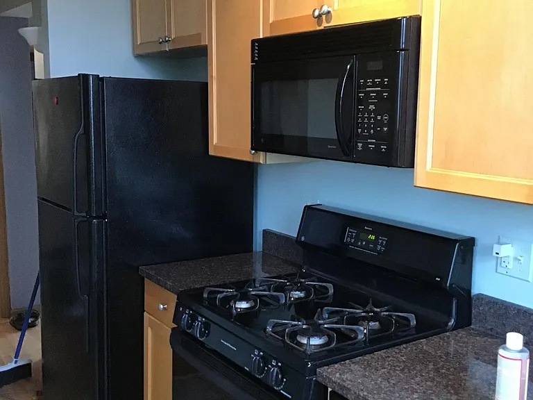 45 N Paulina St #3 — Photo 23