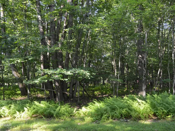 Seminole Dr, Lakeville, PA 18438