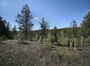 1226 Skinner Gulch Rd, Loveland, CO 80537