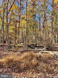 801 Panther Dr, Winchester, VA, 22602