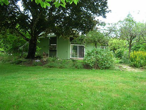 Expansive lawn for dogs/kids