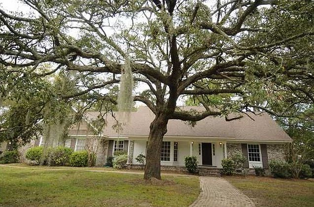Majestic Oak