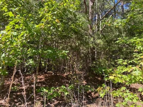 0 Highway 142 Lot 17&18, Shiloh, TN 38376