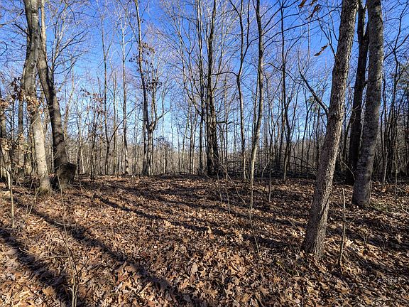 2nd image of Wright Rd