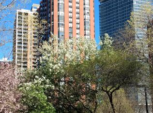 899 S Plymouth Ct APT 206, Chicago, IL 60605
