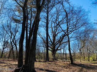 Irby Rd, Morton, MS 39117