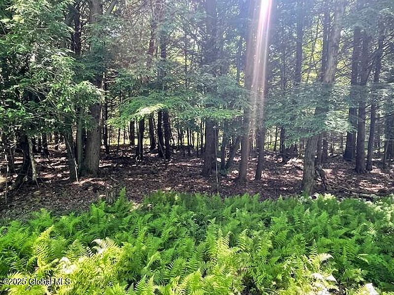 3rd image of 204 Bauer Road