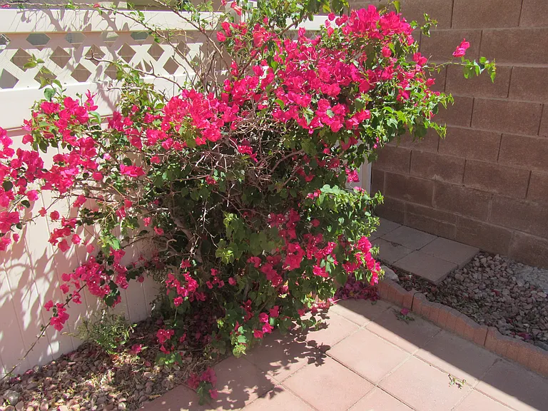 5357 Coral Ribbon Ave — Photo 25