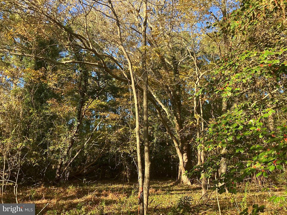 1st image of 81 Davis Rd