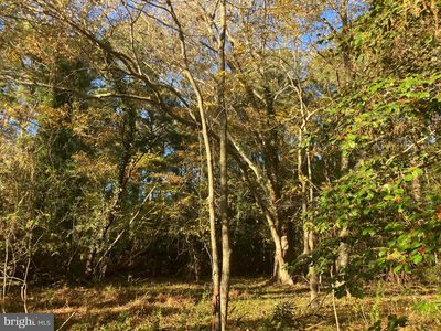 81 Davis Rd, Marion Station, MD, 21838